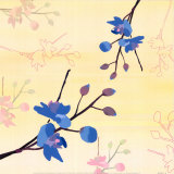 Zen Blossoms II
