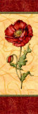 Red Passion Pavot