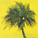 Daylight Palms I
