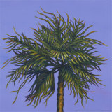 Daylight Palms IV