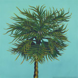 Daylight Palms II