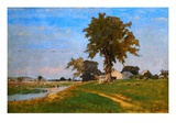 Buy Old Elm at Medfield at AllPosters.com