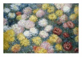 Chrysanthemums (1897)