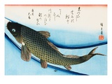 Buy Swimming Carp at AllPosters.com