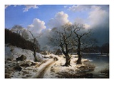 A Frozen Winter Landscape