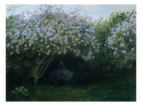 Lilacs in Twilight or Resting Under the Lilacs