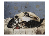 Buy Kittens Up To Mischief at AllPosters.com