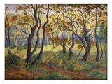 The Clearing