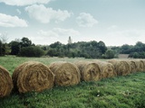 Bales of Hay in a Field