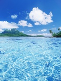 Tropic Waters