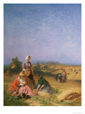 Buy Gleaning at AllPosters.com