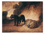 Buy Two Jaguars from Peru at AllPosters.com