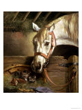 Buy Horse and Kittens, 1890 at AllPosters.com