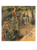 Buy The Apple Pickers, 1886 at AllPosters.com
