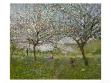 Apple Trees in Flower