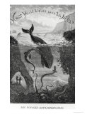 Buy Cover Illustration from "20,000 Leagues under the Sea" by Jules Verne (1828-1905) at AllPosters.com