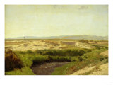 On the Luneburg Heath, 1887
