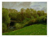 Meadow and Woodland, 1895