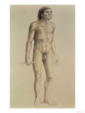 Buy Homo Erectus at AllPosters.com