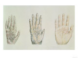Buy Hands of a Primate and a Human at AllPosters.com