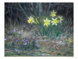 Buy Narcissi and Violets, circa 1867 at AllPosters.com