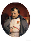 Napoleon (1769-1821) in Fontainebleau, 1846