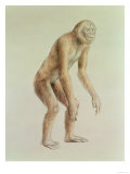 Buy Ramapithecus at AllPosters.com