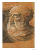 Head Study, 1522