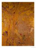 Tree Against a Yellow Background