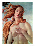 Buy The Birth of Venus, c.1485 (detail) at AllPosters.com
