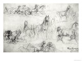 Study of Horses