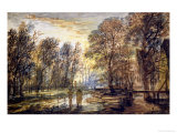 Sunset in the Wood