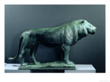 Lion, 1904