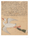 Merchant from Isfahan Flying, from the Wonders of the Creation and the Curiosities of Existence
