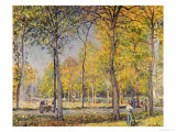 Buy The Bois De Boulogne at AllPosters.com