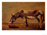 The Donkey