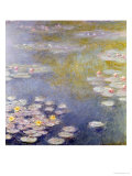 Nympheas at Giverny, 1908
