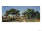 Buy Path Through the Apples Trees at AllPosters.com