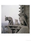 Buy Gargoyles on the Balustrade of the Grande Galerie, Replica of a 12th Century Original at AllPosters.com
