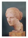Buy The Kauffmann Head, Head of Aphrodite, Copy of the Aphrodite of Cnidus by Praxiteles (Fl.375-40 BC) at AllPosters.com