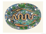 Buy Large Oval Dish Moulded in Relief with Reptiles and Fish at AllPosters.com