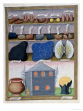 Buy Illustration from the "Book of Simple Medicines" by Mattheaus Platearius (D.circa 1161) circa 1470 at AllPosters.com