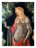 Primavera, Detail of Venus, circa 1478