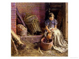 Buy Plucking the Fowl at AllPosters.com