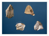 Four Tools, 35000-10000 BC