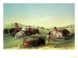Buffalo Hunt, Plate 7 from Catlin's North American Collection, Engraved by Mcgahey
