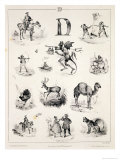 Buy Letter D from an Alphabet Primer, 1832 at AllPosters.com