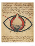 Buy Anatomy of the Eye, from a Book on Eye Diseases at AllPosters.com