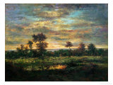 Pond at the Edge of a Wood