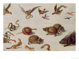 Buy The Enemies of Snakes at AllPosters.com